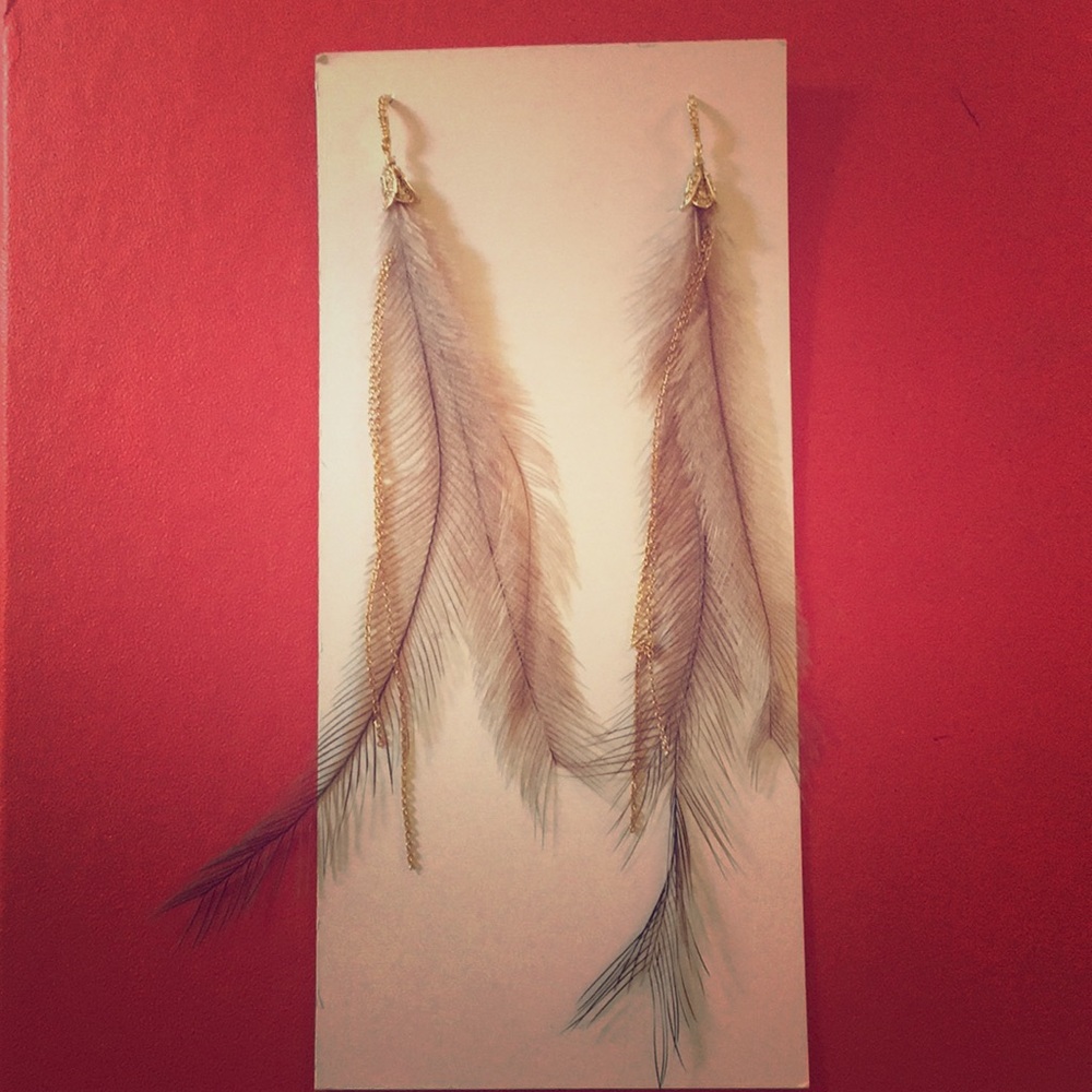 Feather earrings